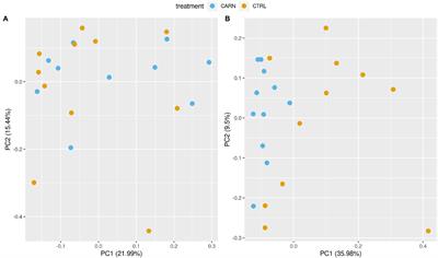 Dietary Administration of L-Carnitine During the Fattening Period of Early Feed Restricted Lambs Modifies Ruminal Fermentation but Does Not Improve Feed Efficiency